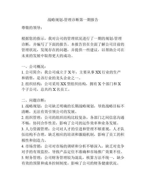 战略规划-管理诊断第一期报告