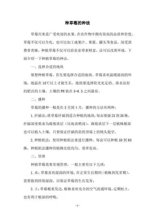种草莓的种法