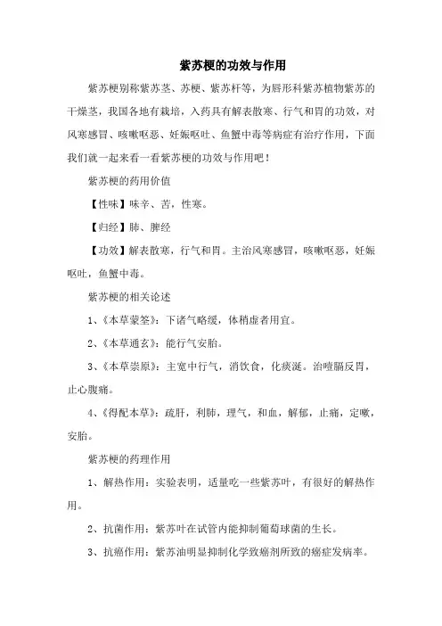 紫苏梗的功效与作用
