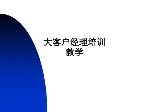 大客户经理培训ppt课件