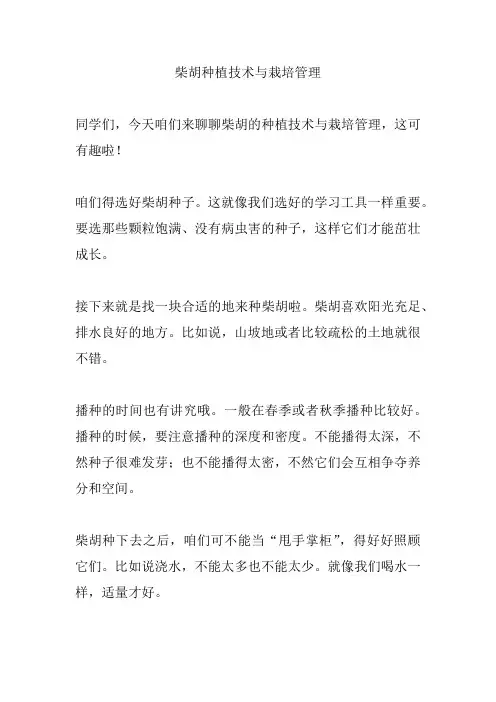 柴胡种植技术与栽培管理