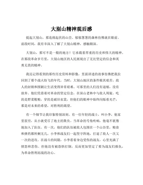 大别山精神观后感