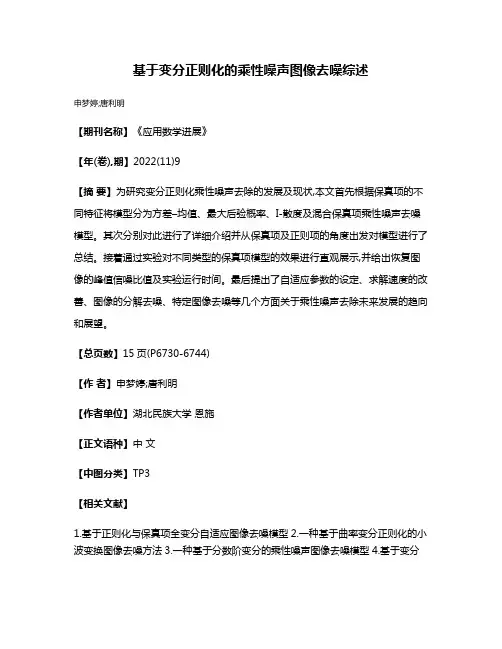 基于变分正则化的乘性噪声图像去噪综述