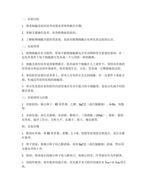 细胞及组织培养实验报告