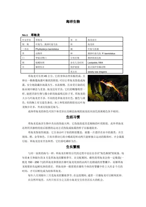 海洋生物资料