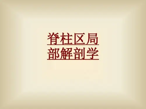医学脊柱区局部解剖学专题课件