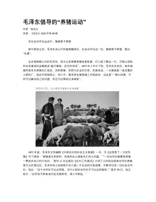 毛泽东倡导的“养猪运动”