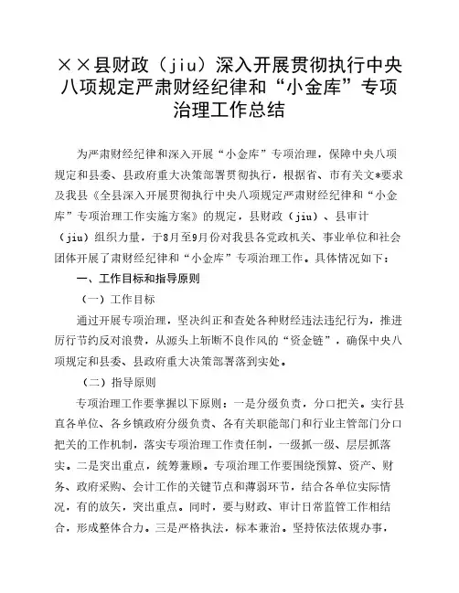 严肃财经纪律和深入开展“小金库”总结范文