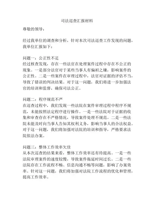 司法巡查汇报材料