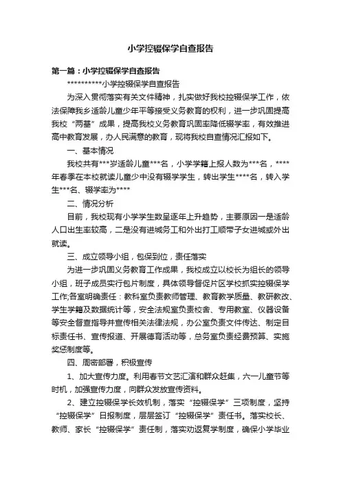 小学控辍保学自查报告