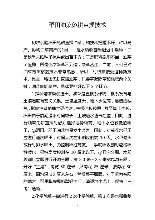稻田油菜免耕直播技术