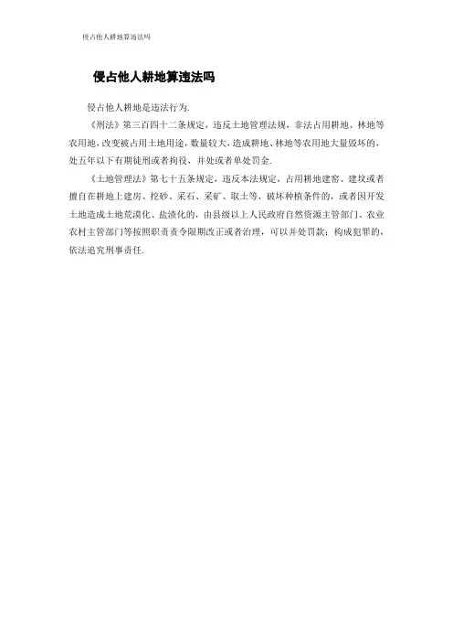 侵占他人耕地算违法吗