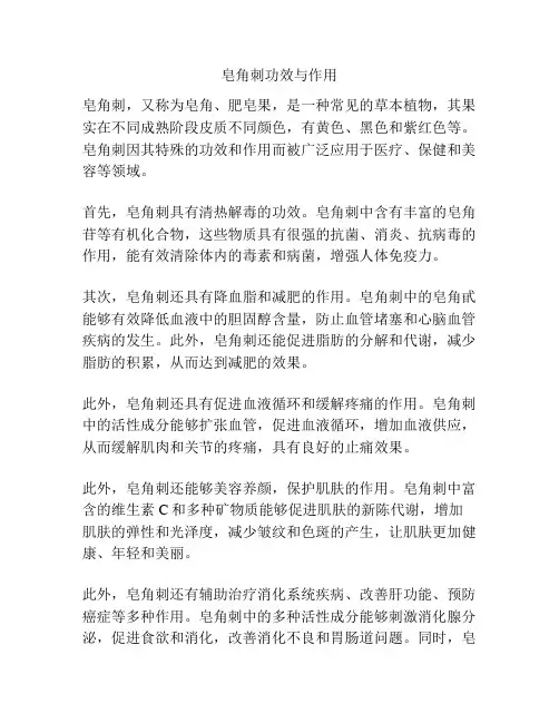 皂角刺功效与作用