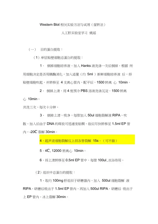 WB操作步骤-自己整理