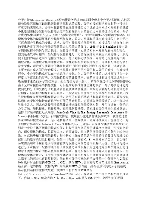 分子对接简明教程