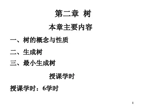 图论及其应用(6)资料