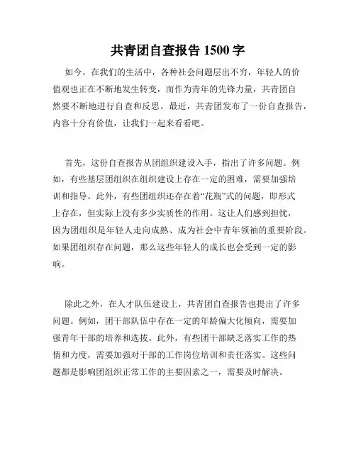 共青团自查报告1500字