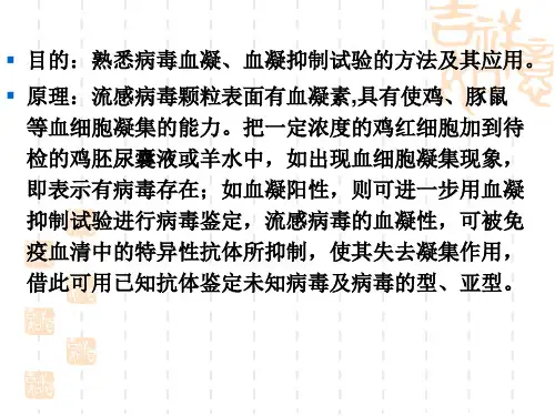 流感病毒的分离鉴定(二)