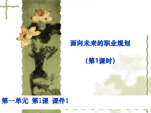 面向未来的职业规划ppt课件