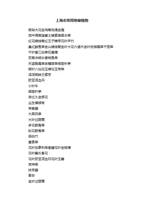 上海市常用地被植物