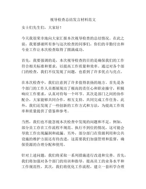 视导检查总结发言材料范文