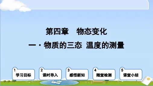 2024年秋季新苏科版八年级上册物理课件 第四章 第一节 物质的三态 温度的测量