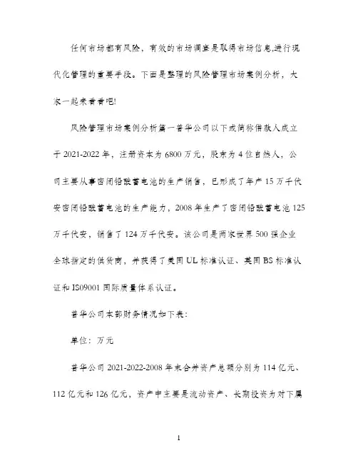 风险管理市场案例分析报告