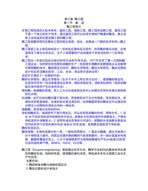 第二章 酶工程