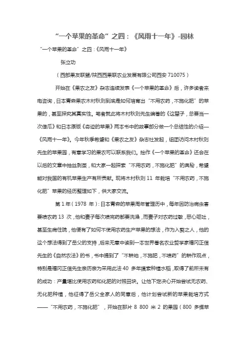 “一个苹果的革命”之四:《风雨十一年》