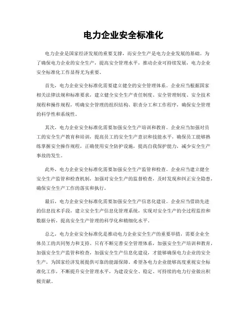 电力企业安全标准化