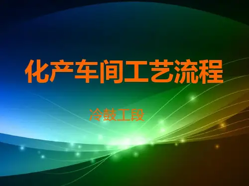 化产车间工艺流程培训教材(共32张PPT)