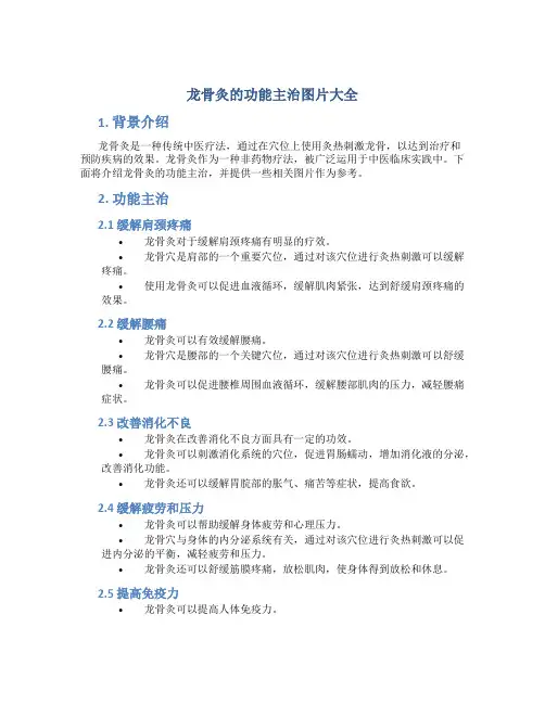 龙骨灸的功能主治图片大全