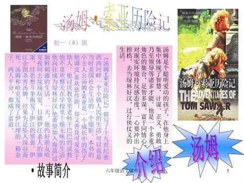 小学六年级下学期语文第17课汤姆·索亚历险记PPT课件