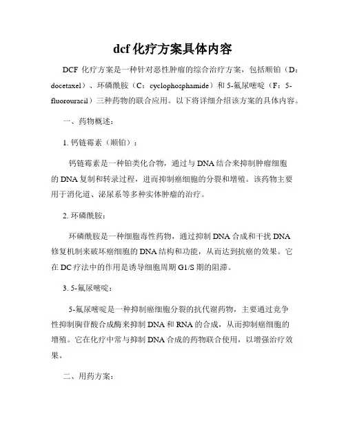 dcf化疗方案具体内容