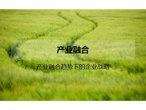 产业融合PPT