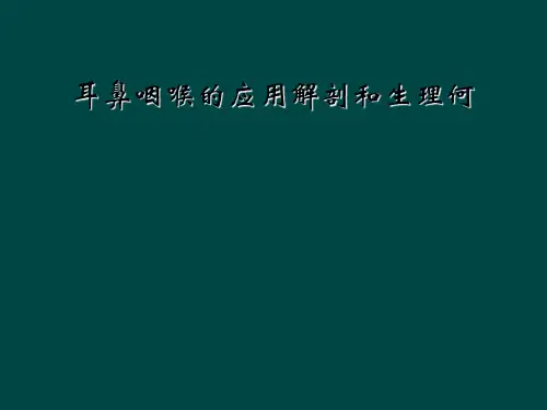 耳鼻咽喉的应用解剖和生理何