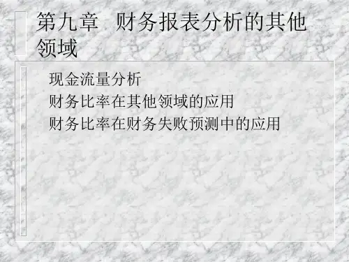 财务报表分析9