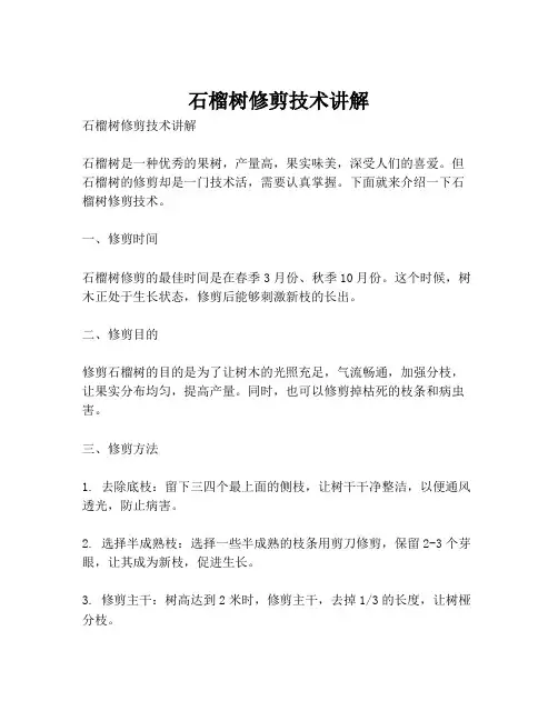 石榴树修剪技术讲解