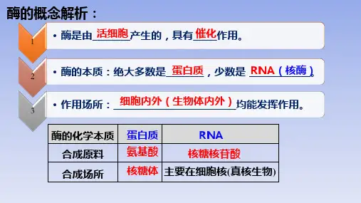 第三章 细胞中能量的转换和利用(复习课件)-高一生物课件(苏教版2019必修1)
