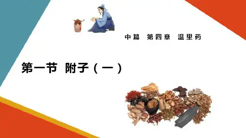 附子(方剂学课件)