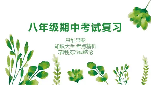 中考数学考点大串讲(北师大版)：专题02 实数