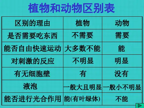 主题观察多种多样的生物