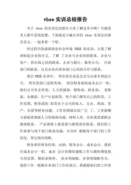 vbse实训总结报告