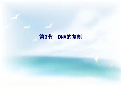 高中生物DNA复制PPT