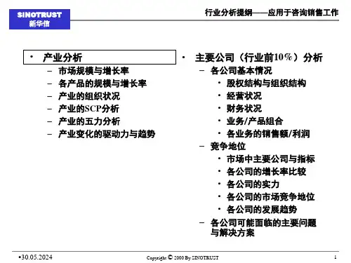新华信1-asdfasdfew行业分析模板-咨询顾问必