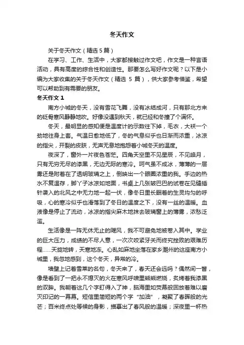 关于冬天作文（精选5篇）