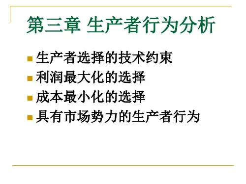 对外经贸大学施丹宏观ppt课件