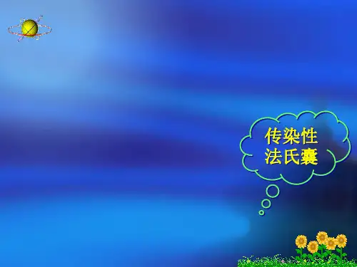 传染性法氏囊课件(共19张PPT)《禽病防治》