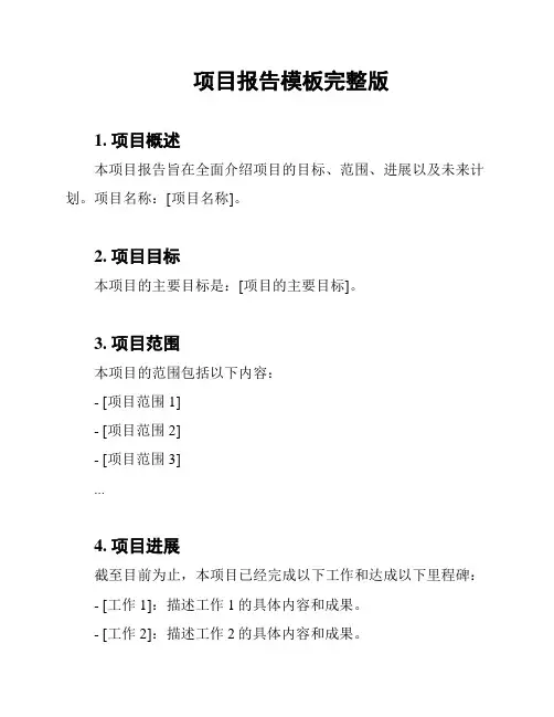 项目报告模板完整版