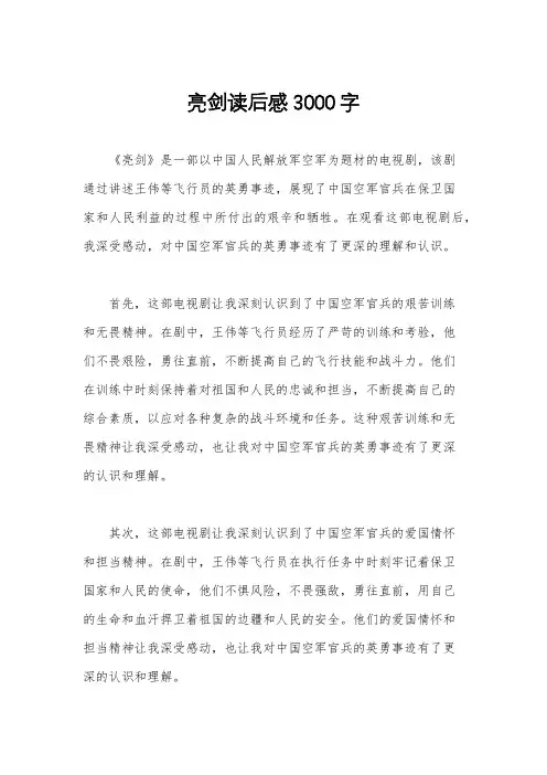 亮剑读后感3000字